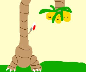 executor antonym|exeggutor.